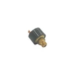 Senzor de presiune Protherm Ray 0020027571