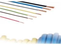 Conductori MYF Conductori MYF