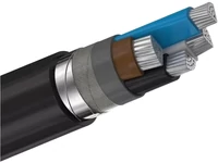 Cabluri armate Cabluri armate