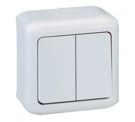 Intrerupator dublu PT 10A IP44 LEGRAND FORIX44 782362