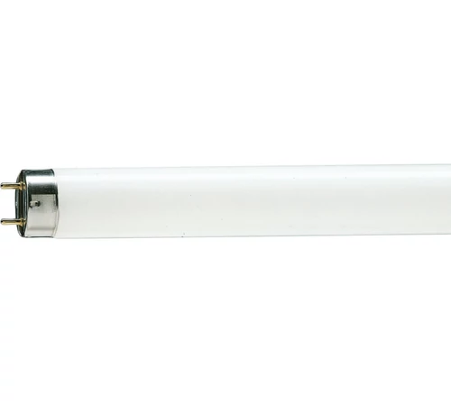 Tub NEON snow white 36W 6200K PHILIPS